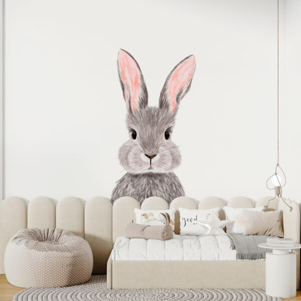 Adorable rabbit with soft fur. Adorable rabbit with soft fur.