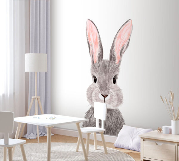 Adorable rabbit with soft fur. Adorable rabbit with soft fur.