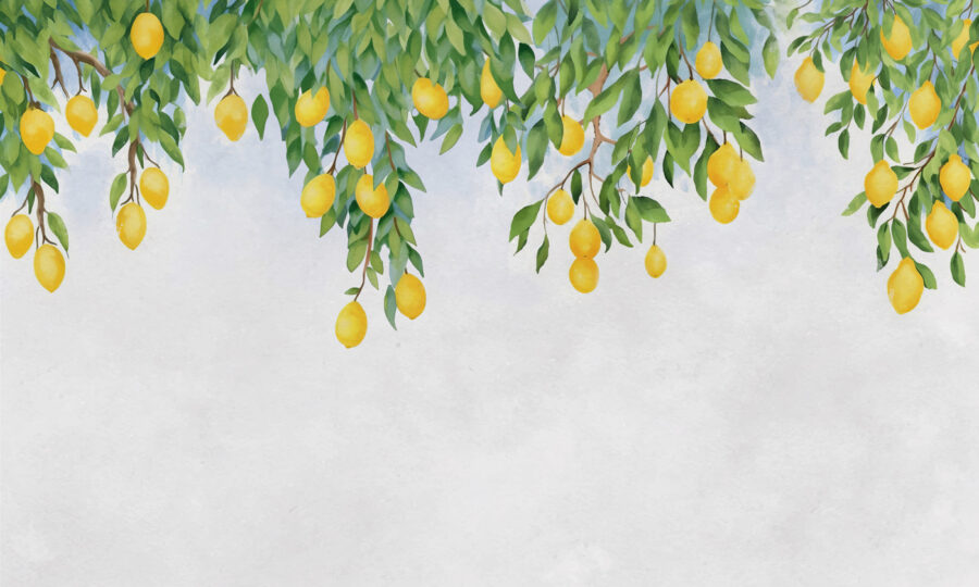 Wall murals A lemons from a tree - Image 3