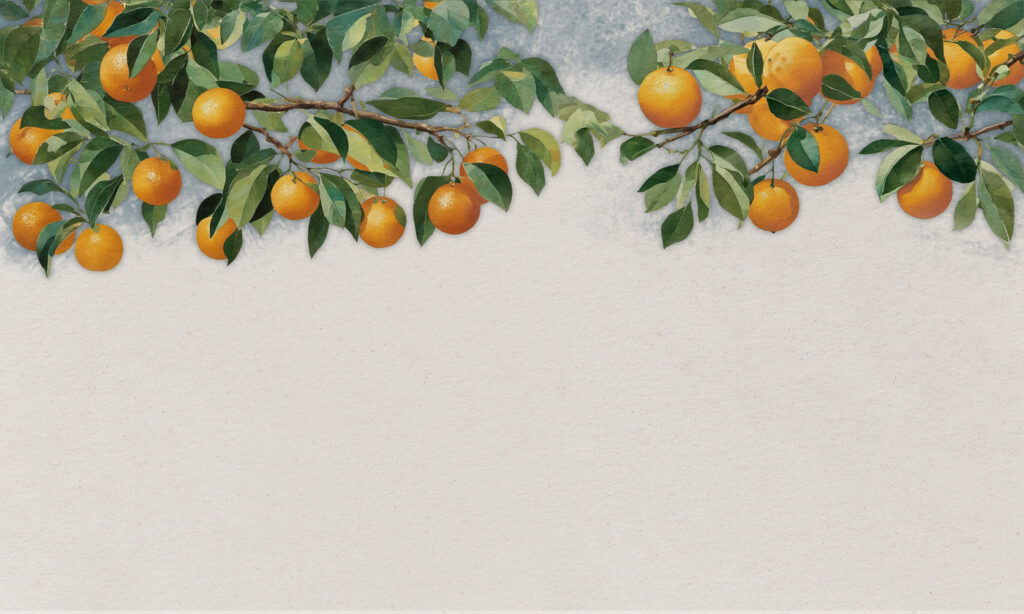 A branch of oranges with leaves A branch of oranges with leaves