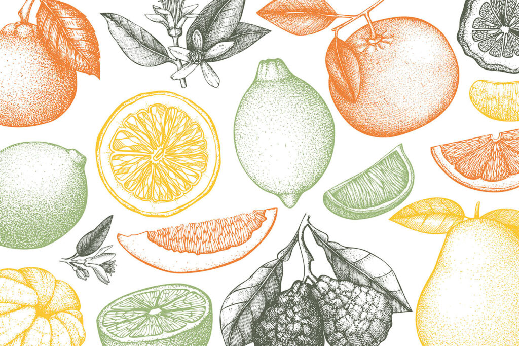 A pattern of different fruits A pattern of different fruits
