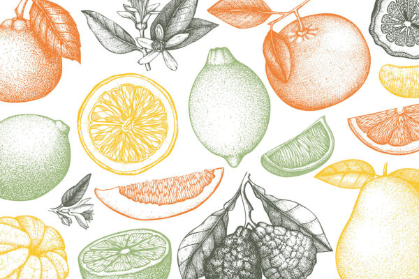A pattern of different fruits A pattern of different fruits