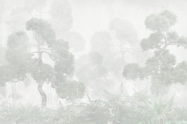 A foggy forest with trees and ferns A foggy forest with trees and ferns