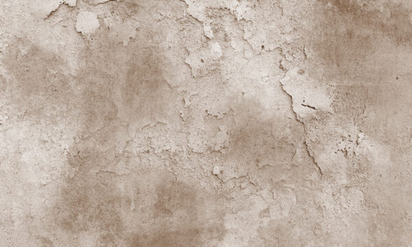 Textured surface with natural tones. Textured surface with natural tones.