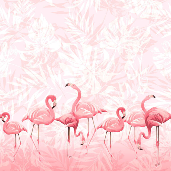 A group of pink flamingos A group of pink flamingos
