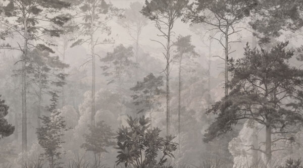 Forest with trees and mountains Forest with trees and mountains