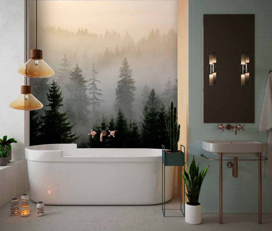 Wall murals Foggy forest with trees - Image 3