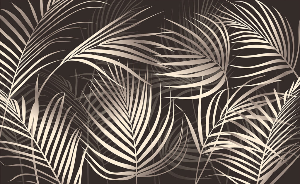 Elegant palm leaves on a dark backdrop. Elegant palm leaves on a dark backdrop.