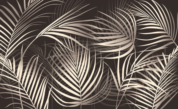 Elegant palm leaves on a dark backdrop. Elegant palm leaves on a dark backdrop.