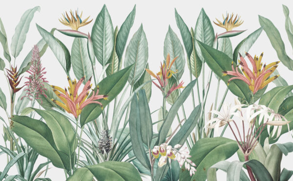 Vibrant tropical foliage in harmony. Vibrant tropical foliage in harmony.
