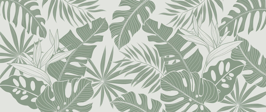 Pattern of leaves on a white background