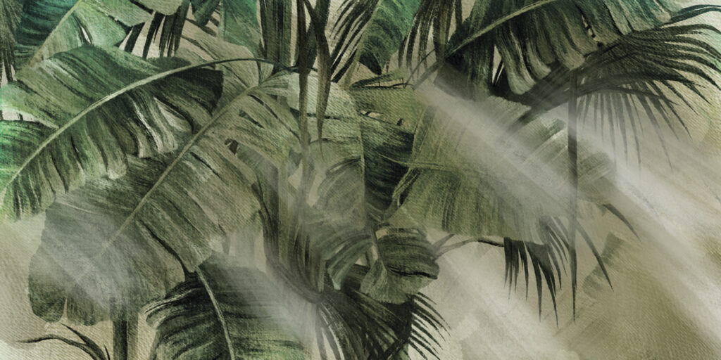 Lush foliage bathed in soft light. Lush foliage bathed in soft light.