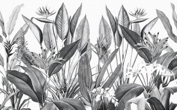 Tropical foliage in monochrome shades. Tropical foliage in monochrome shades.