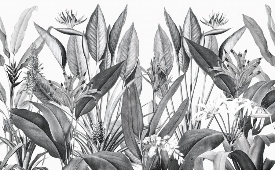 Tropical foliage in monochrome shades.