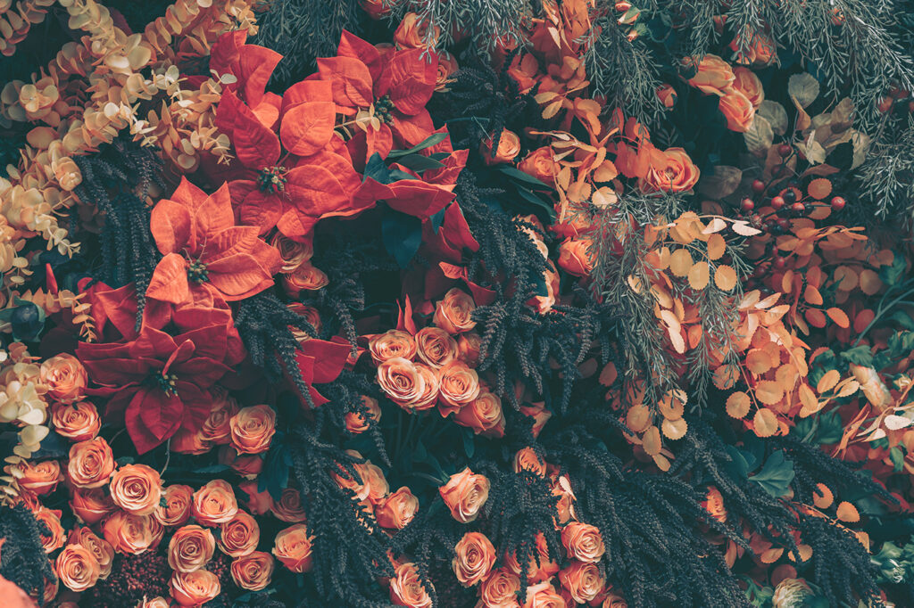 Group of flowers and leaves Group of flowers and leaves