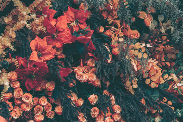 Group of flowers and leaves Group of flowers and leaves