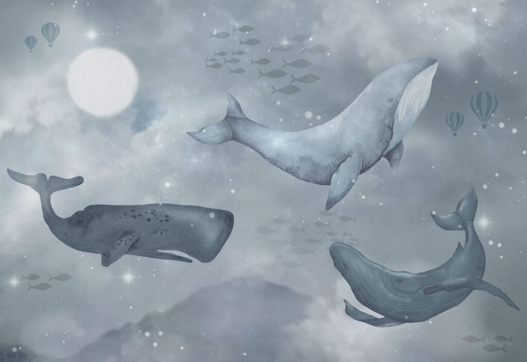 Group of whales swimming in the ocean Group of whales swimming in the ocean