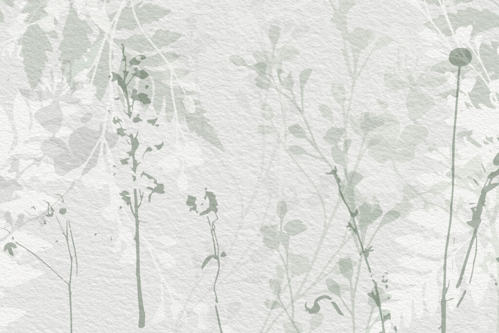White wall with green leaves White wall with green leaves