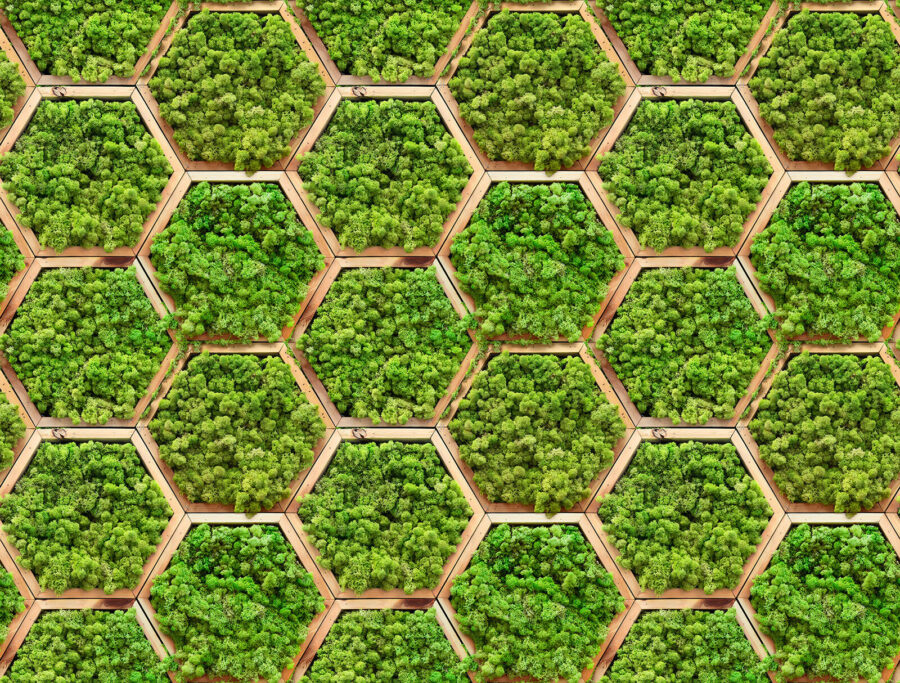 Wall of plants in hexagons