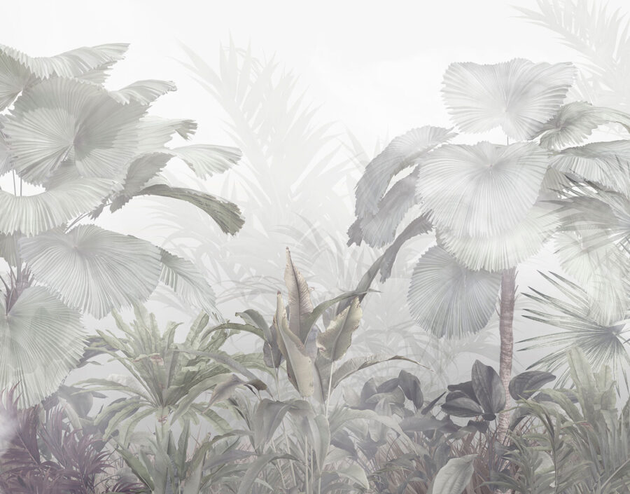 Group of plants in a foggy forest