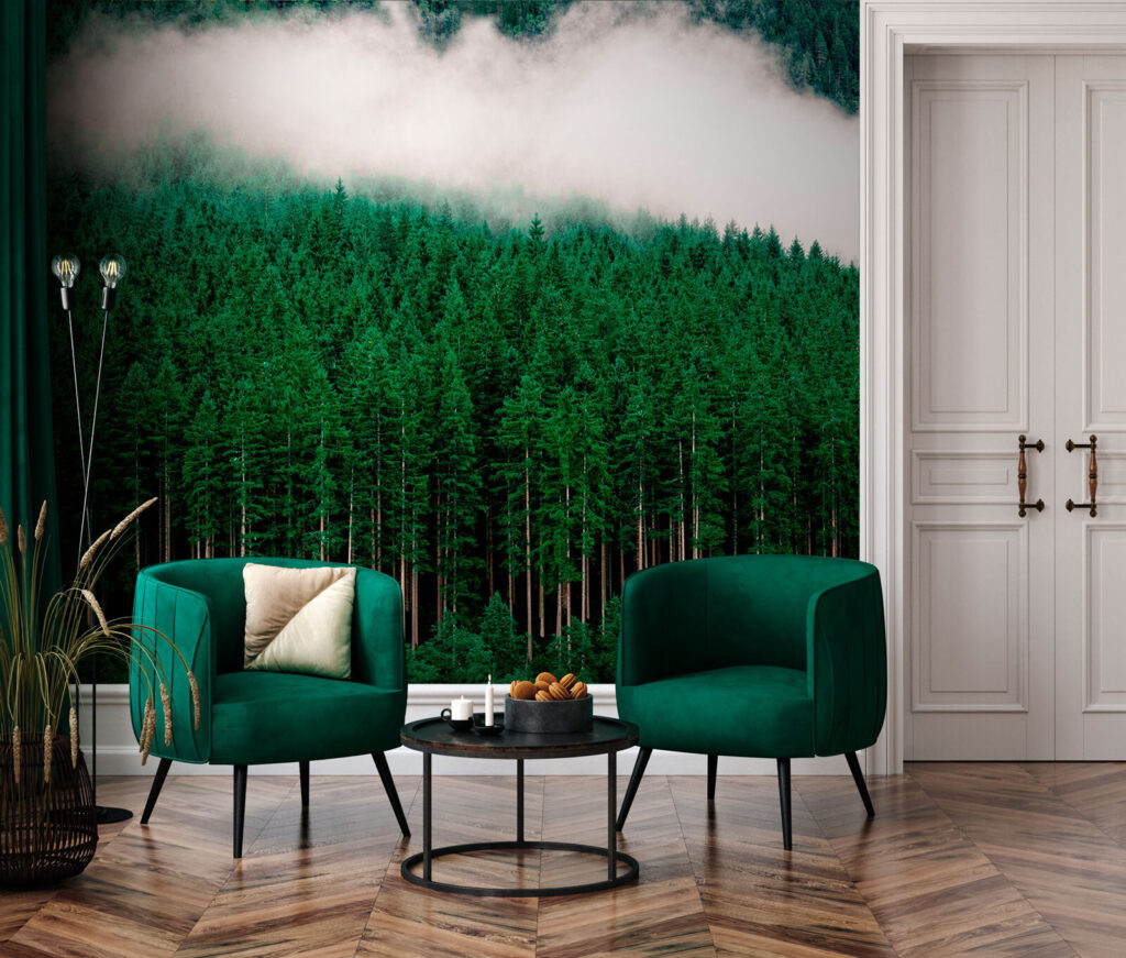 A forest of trees with fog u95106pih1m 1024x871 - A forest of trees with fog - tegory