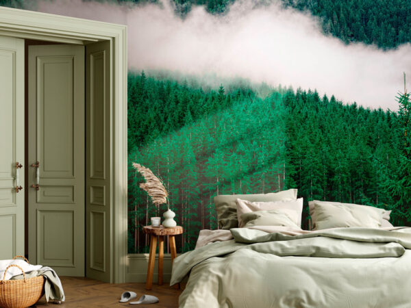 A forest of trees with fog u95106pig1 600x450 - A forest of trees with fog - tegory