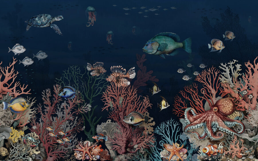 Sea life with fish and coral