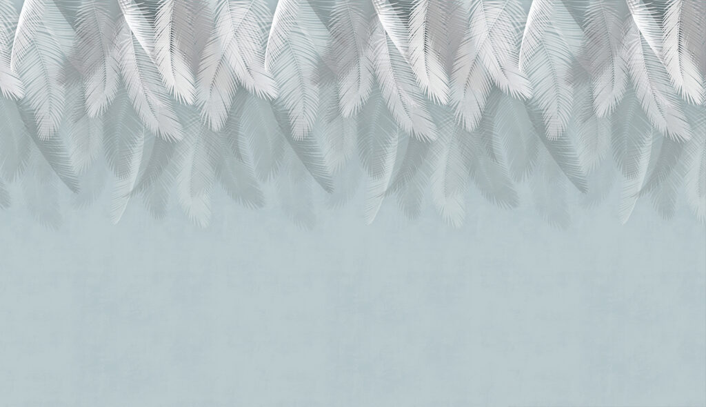 White feathers on a blue background u94466p 1024x590 - White feathers on a blue background - tegory