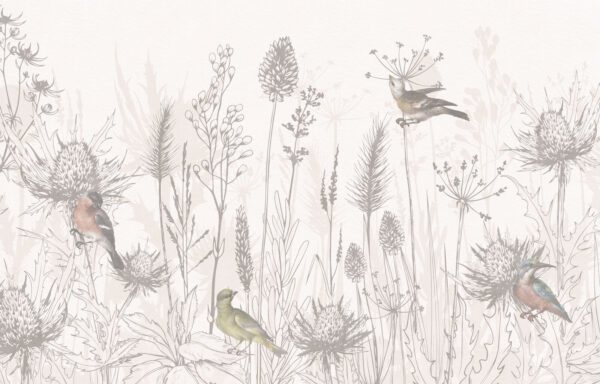 Drawing of birds and plants Drawing of birds and plants