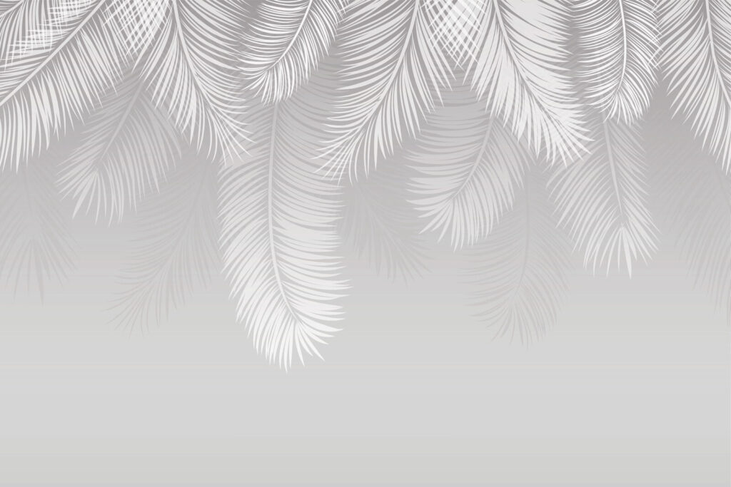 White feathers on a gray background u94450p 1024x683 - White feathers on a gray background - tegory