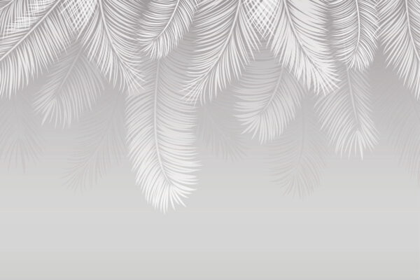 White feathers on a gray background u94450p 600x400 - White feathers on a gray background - tegory