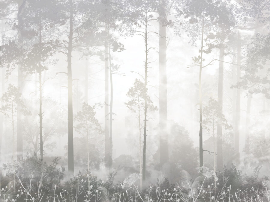 Foggy forest with tall trees