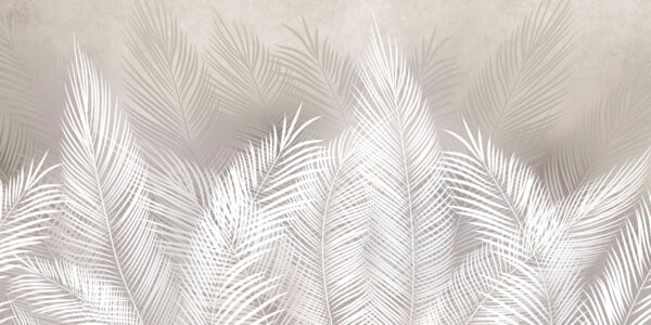 White feathers on a gray background White feathers on a gray background