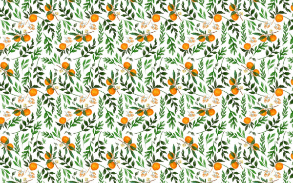 Pattern of oranges and leaves Pattern of oranges and leaves