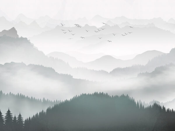 Birds flying over a mountain range Birds flying over a mountain range