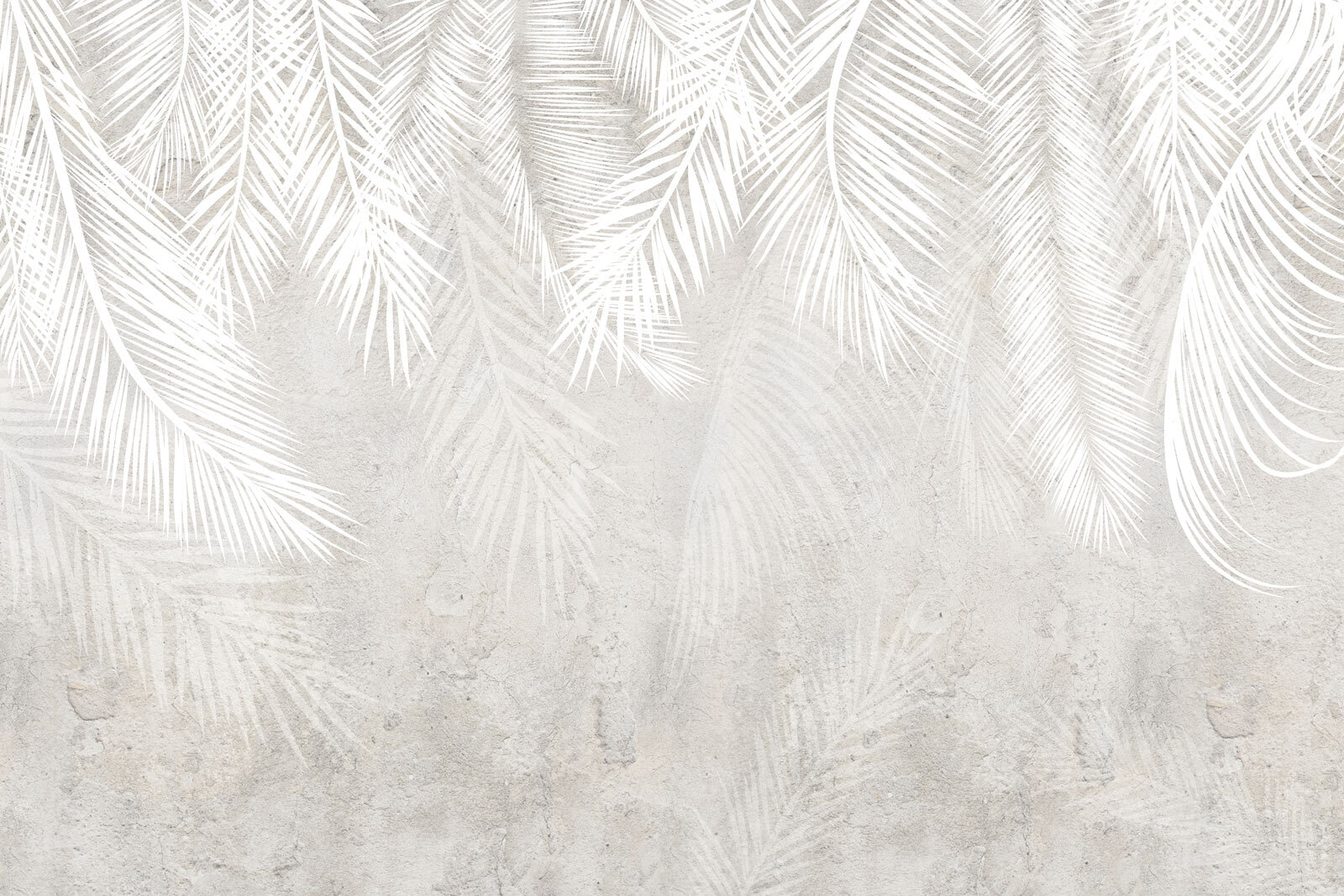 White leaves on a grey surface White leaves on a grey surface