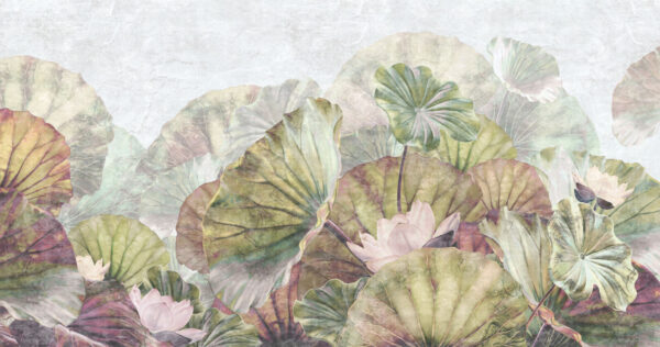 Delicate water lily leaves and blossoms. Delicate water lily leaves and blossoms.