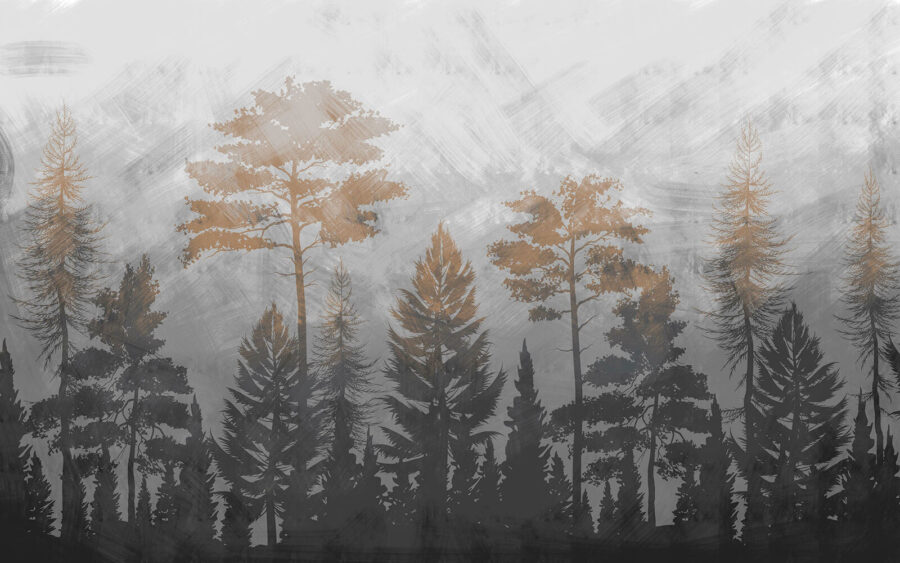u94204p 900x563 - Group of trees in a forest - tegory