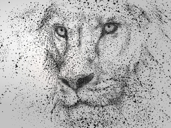 Lion's face with black specks Lion's face with black specks