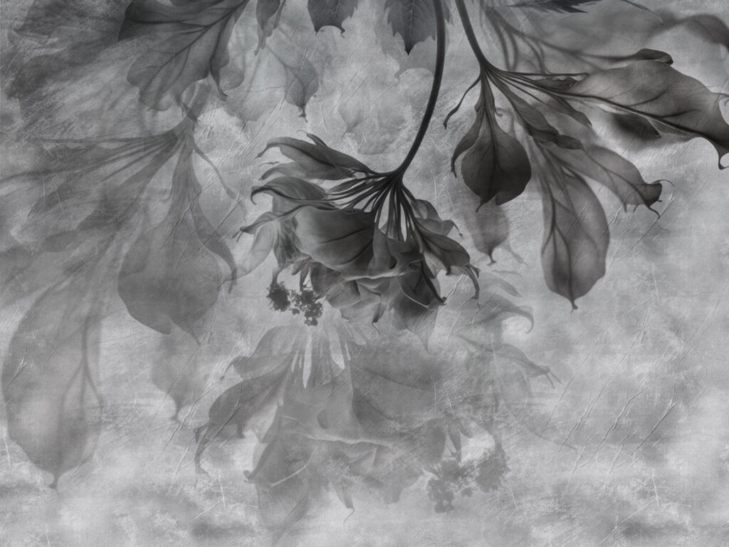 Elegant leaves in soft monochrome hues. Elegant leaves in soft monochrome hues.