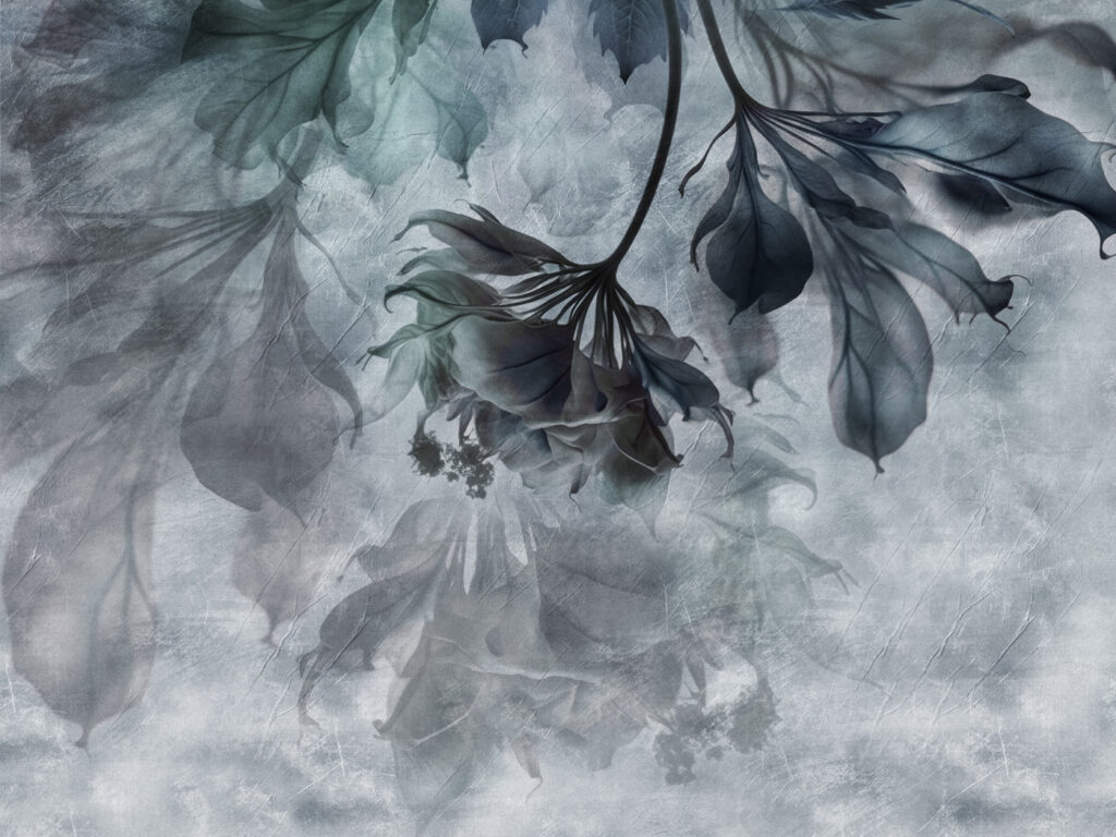 Delicate leaves in soft tones. Delicate leaves in soft tones.