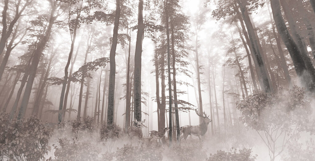 Group of deer in a forest u93893p 1024x525 - Group of deer in a forest - tegory
