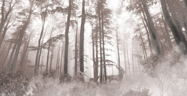 Group of deer in a forest u93893p 600x308 - Group of deer in a forest - tegory
