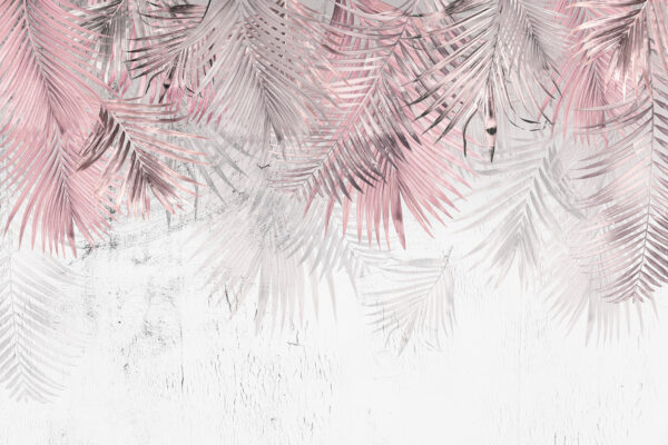 A pink and white palm leaves A pink and white palm leaves