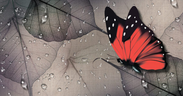 Butterfly on a leaf u93796p 600x317 - Butterfly on a leaf - tegory
