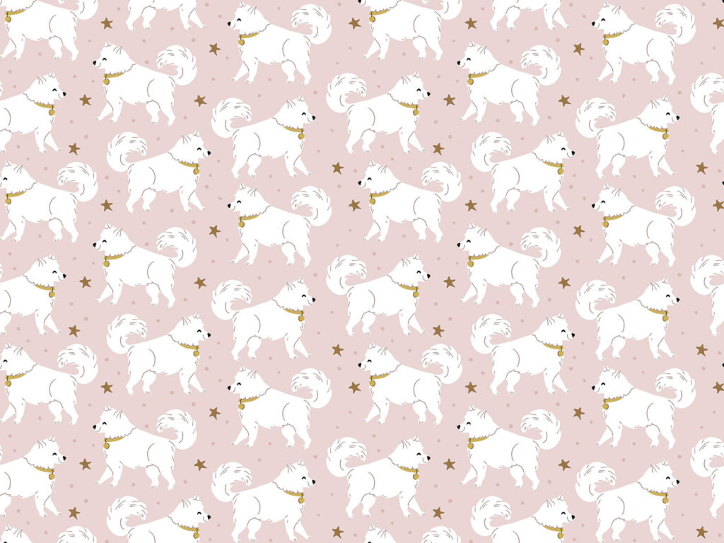 Pattern of white dogs Pattern of white dogs