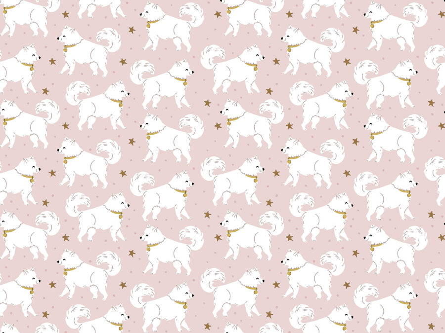 Pattern of white dogs Pattern of white dogs