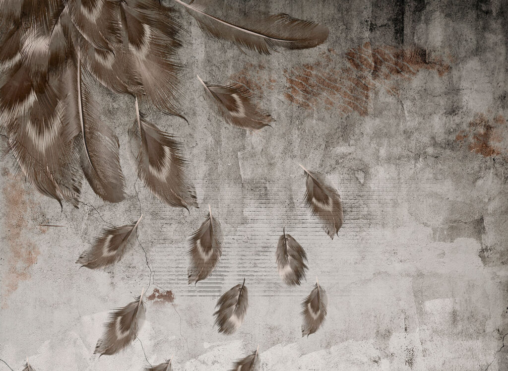 Group of feathers on a wall u93657p 1024x748 - Group of feathers on a wall - tegory