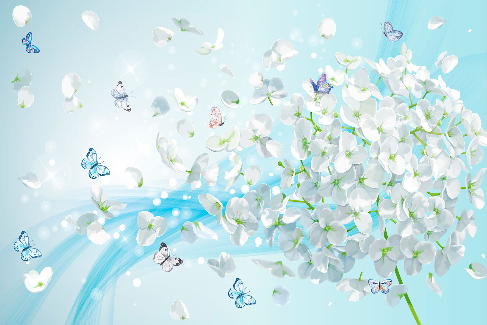White flowers with butterflies flying u93477p - White flowers with butterflies flying - tegory