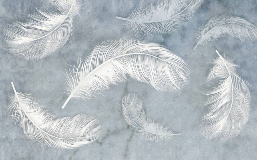 Group of white feathers Group of white feathers
